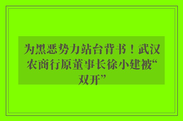 为黑恶势力站台背书！武汉农商行原董事长徐小建被“双开”