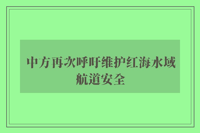 中方再次呼吁维护红海水域航道安全