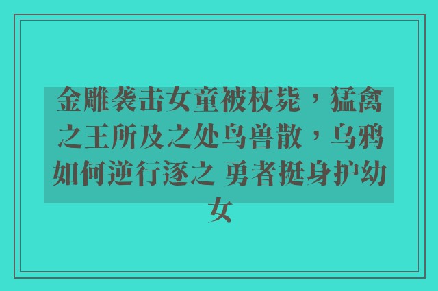 金雕袭击女童被杖毙，猛禽之王所及之处鸟兽散，乌鸦如何逆行逐之 勇者挺身护幼女