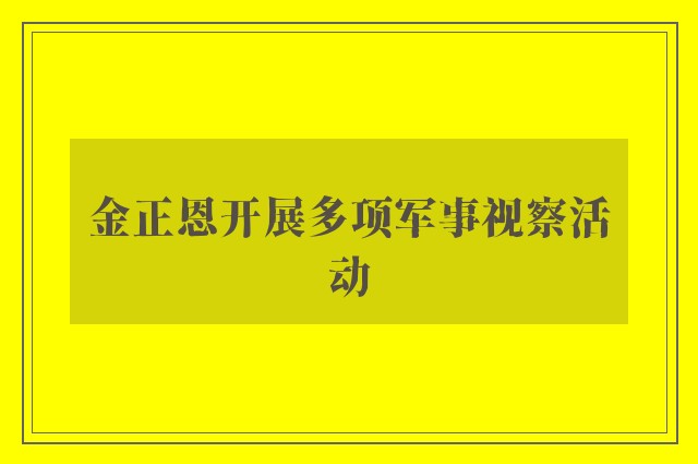 金正恩开展多项军事视察活动