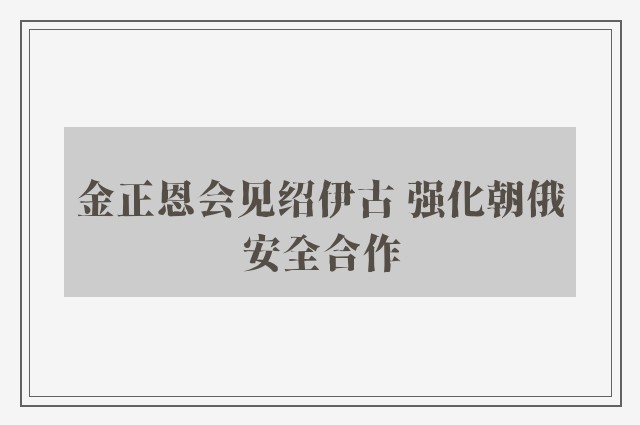 金正恩会见绍伊古 强化朝俄安全合作