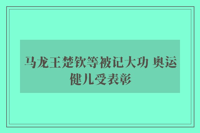 马龙王楚钦等被记大功 奥运健儿受表彰