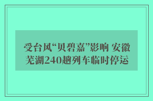 受台风“贝碧嘉”影响 安徽芜湖240趟列车临时停运