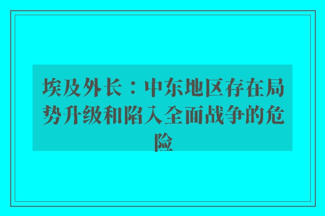 埃及外长：中东地区存在局势升级和陷入全面战争的危险