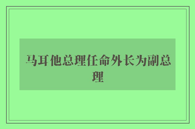 马耳他总理任命外长为副总理