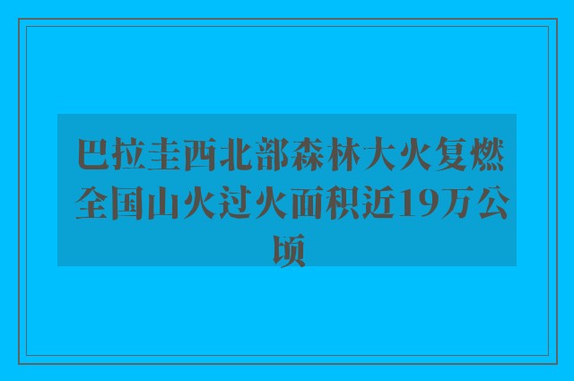 巴拉圭西北部森林大火复燃 全国山火过火面积近19万公顷