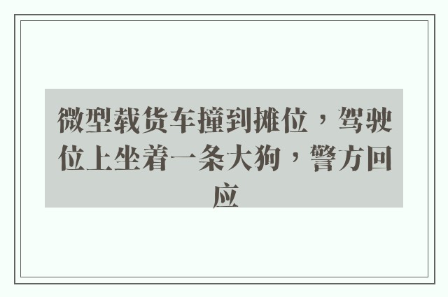 微型载货车撞到摊位，驾驶位上坐着一条大狗，警方回应