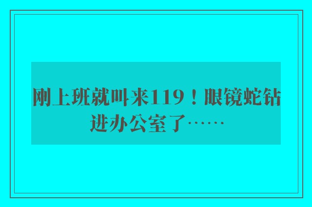 刚上班就叫来119！眼镜蛇钻进办公室了……