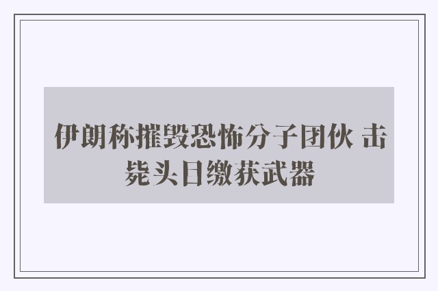 伊朗称摧毁恐怖分子团伙 击毙头目缴获武器