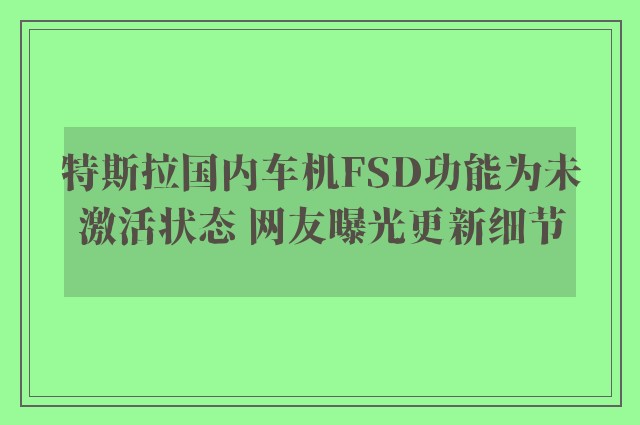 特斯拉国内车机FSD功能为未激活状态 网友曝光更新细节