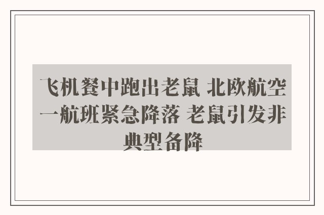 飞机餐中跑出老鼠 北欧航空一航班紧急降落 老鼠引发非典型备降