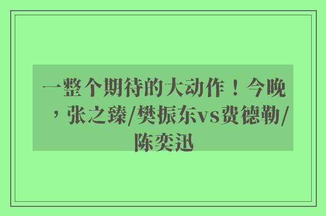 一整个期待的大动作！今晚，张之臻/樊振东vs费德勒/陈奕迅