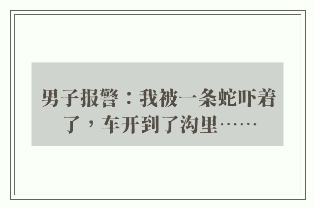 男子报警：我被一条蛇吓着了，车开到了沟里……