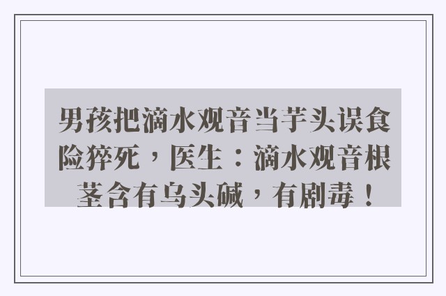 男孩把滴水观音当芋头误食险猝死，医生：滴水观音根茎含有乌头碱，有剧毒！