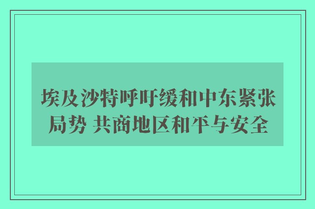 埃及沙特呼吁缓和中东紧张局势 共商地区和平与安全