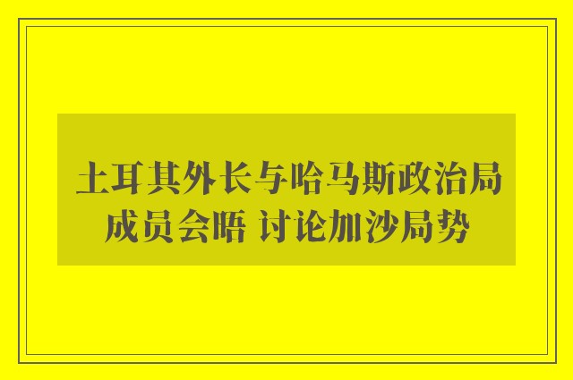 土耳其外长与哈马斯政治局成员会晤 讨论加沙局势