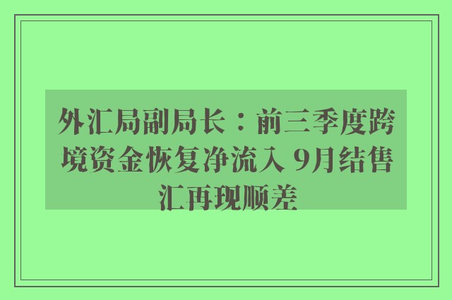 外汇局副局长：前三季度跨境资金恢复净流入 9月结售汇再现顺差